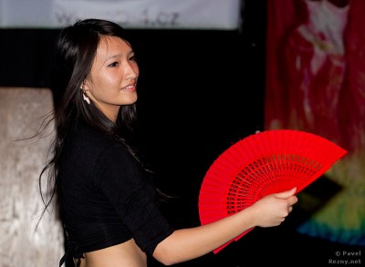 Klikněte pro zobrazení původního (velkého) obrázku