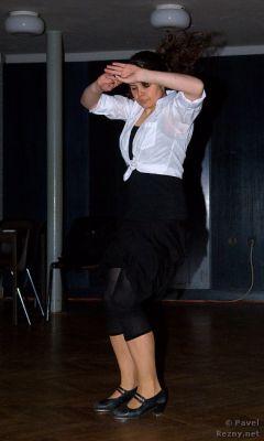 Klikněte pro zobrazení původního (velkého) obrázku