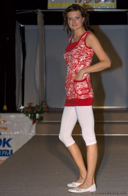 Klikněte pro zobrazení původního (velkého) obrázku