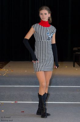 Klikněte pro zobrazení původního (velkého) obrázku