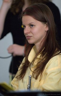 Klikněte pro zobrazení původního (velkého) obrázku